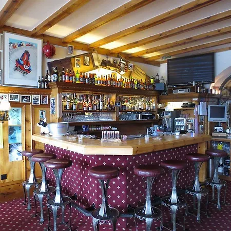 Soldanella São Moritz