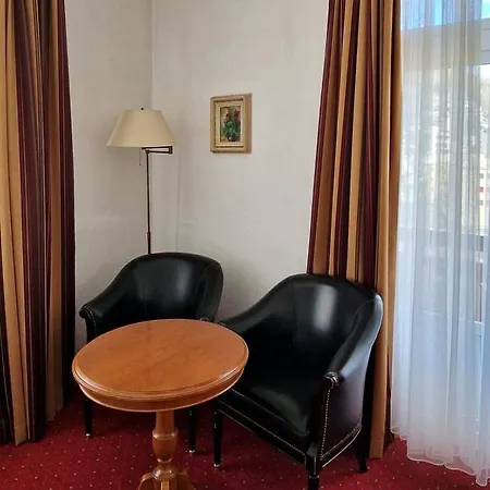 Soldanella São Moritz