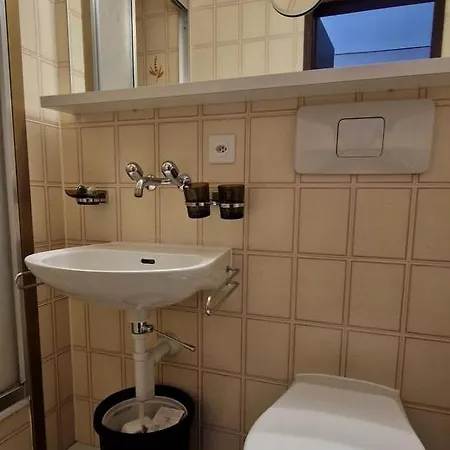 Soldanella Sankt Moritz