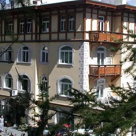 Soldanella St. Moritz