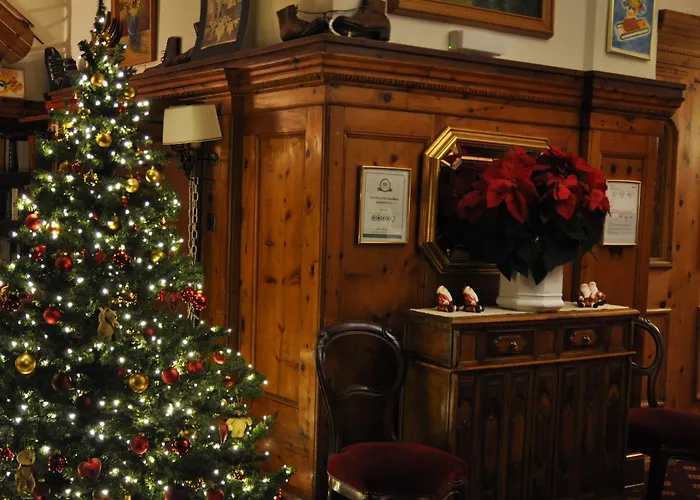 Ξενοδοχείο Soldanella