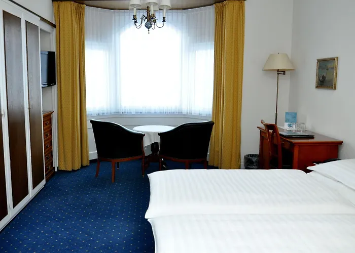 Soldanella Σεντ Μόριτζ