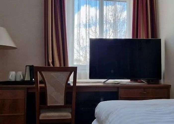 Soldanella Σεντ Μόριτζ