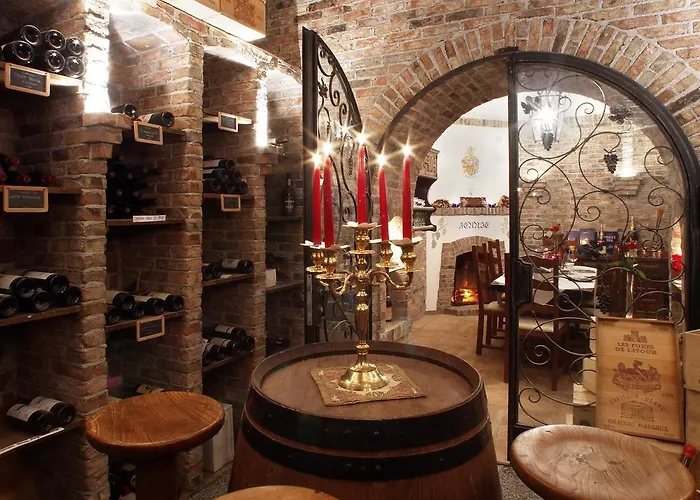 Soldanella סנט מוריץ