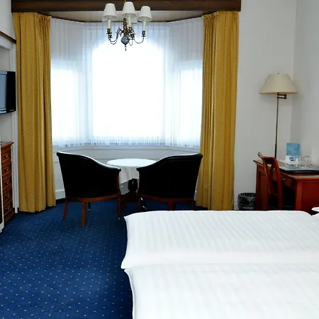 Soldanella Saint-Moritz