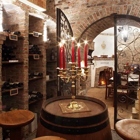 Soldanella Saint-Moritz