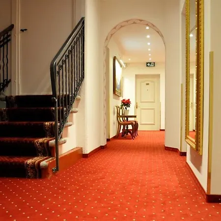 Soldanella Saint-Moritz