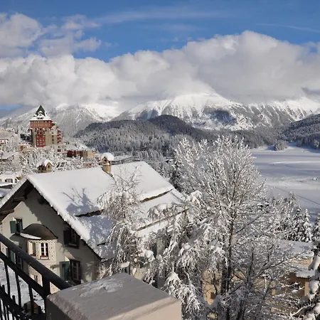 Soldanella 3* St. Moritz