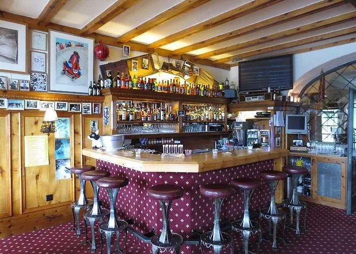 Soldanella St Moritz