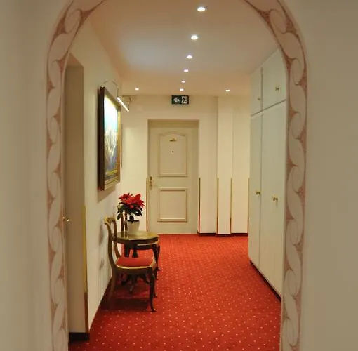 Soldanella St Moritz