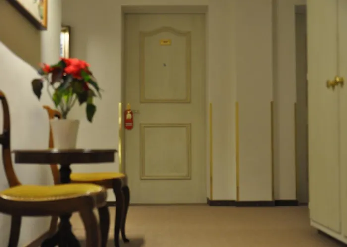 Soldanella St Moritz