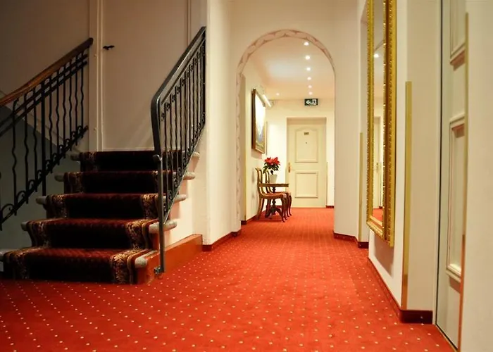 Soldanella St Moritz